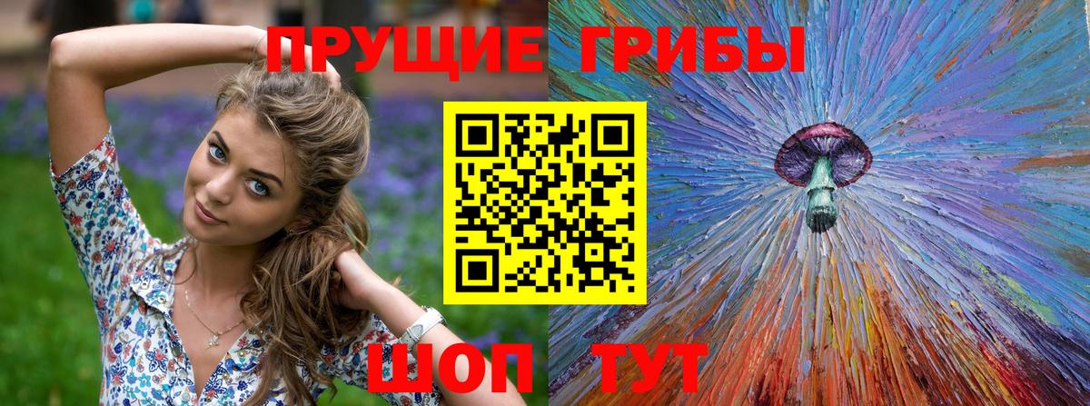 Псилоцибиновые грибы Psilocybine cubensis  Вход с VPN  где купить наркоту  Вольск 